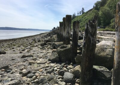 Hidden Beach Shoreline Restoration